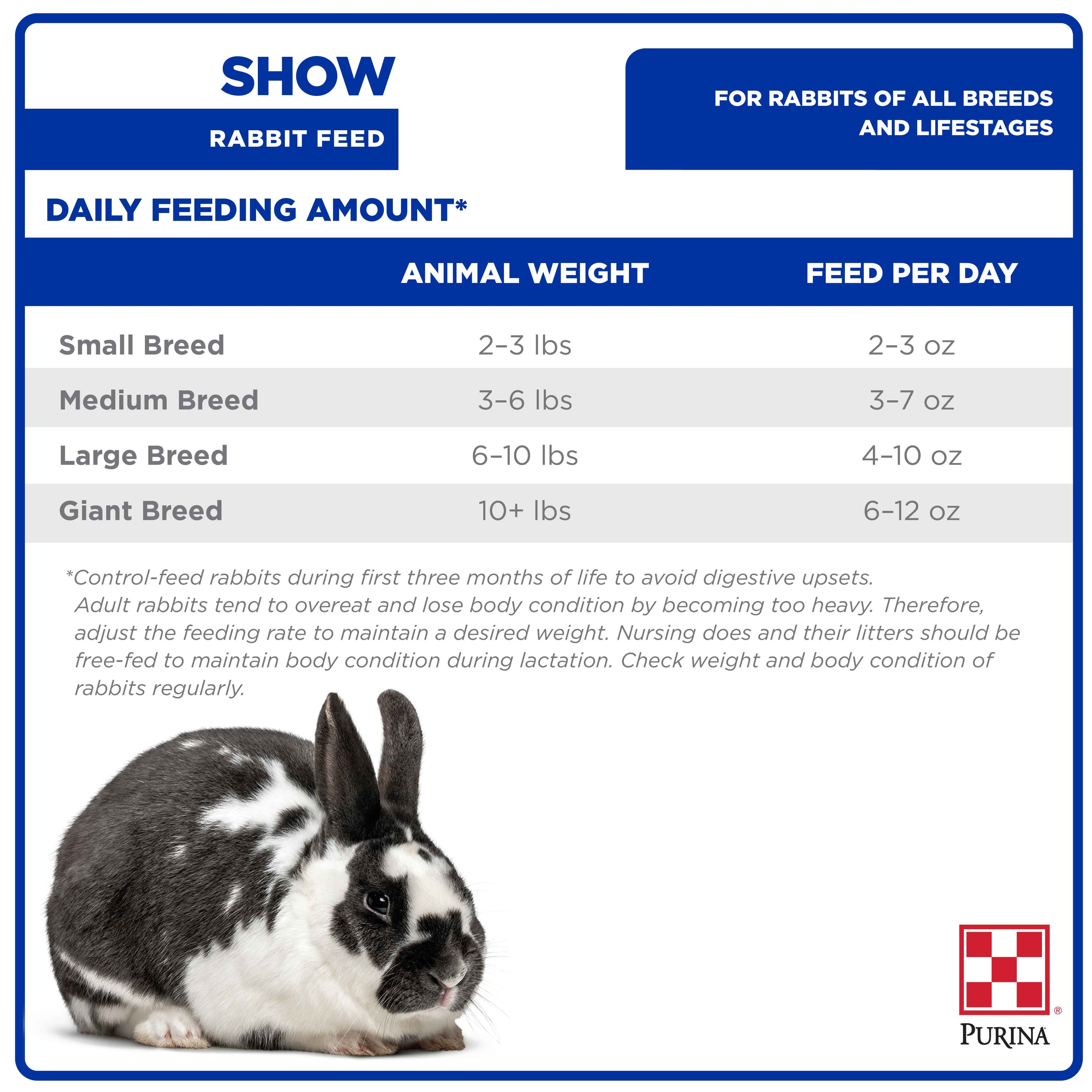 Purina® Pelleted Show Rabbit Feed with Alfalfa | Shop Now – Purina ...