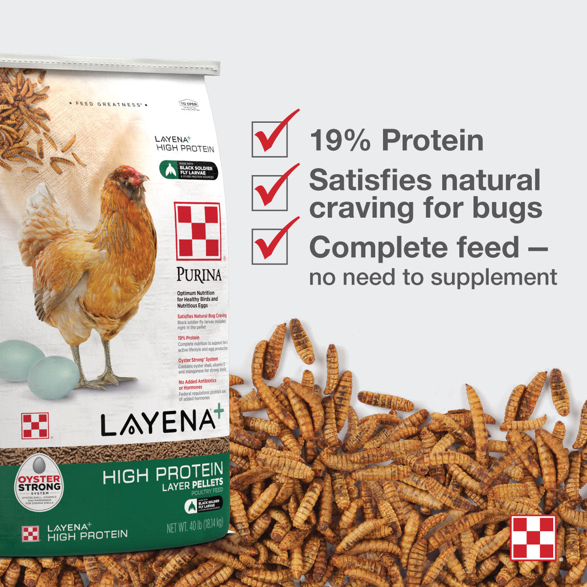 Front of Purina Layena High Protein 40 Pound Bag with Black Solider Fly Larvae