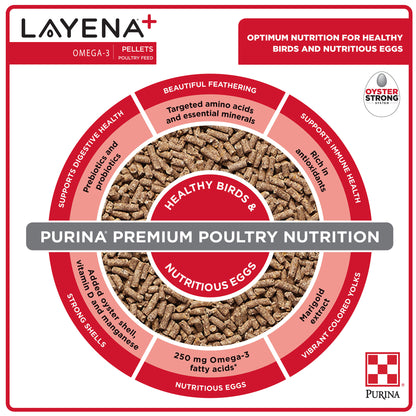 Layena Omega 3 Plus Nutrition Chart