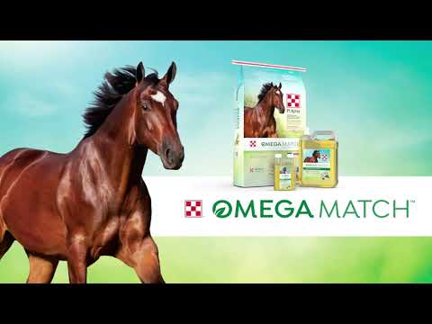 Purina Omega Match Ration Balancing Horse Feed Shop Now