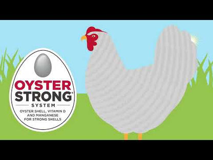 Oyster Strong System Video